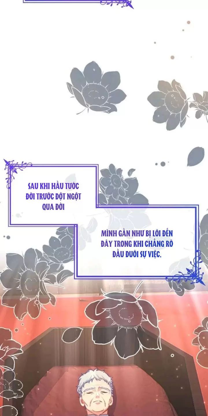 page_31