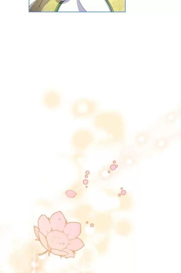 page_29