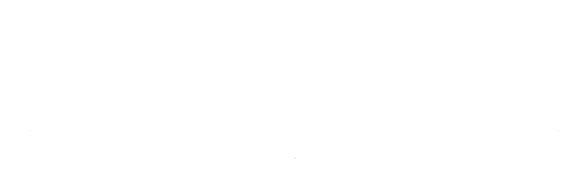 page_29