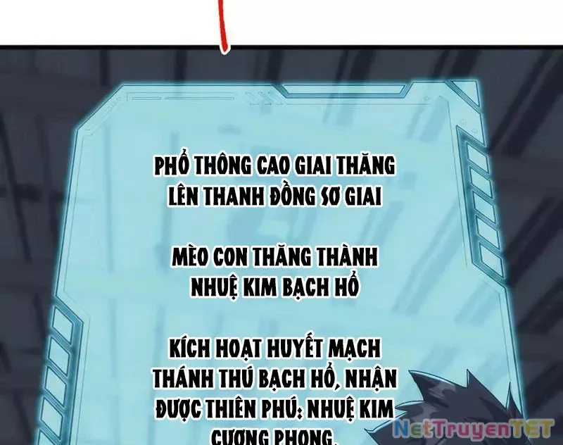 page_101