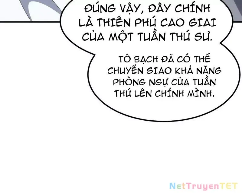 page_43