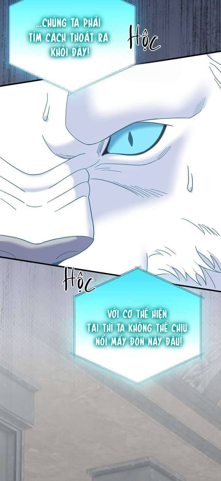 page_50