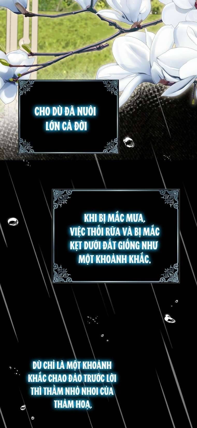 page_55