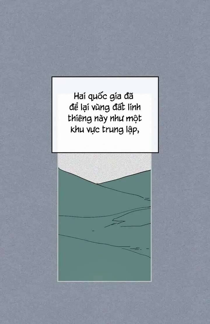 page_31
