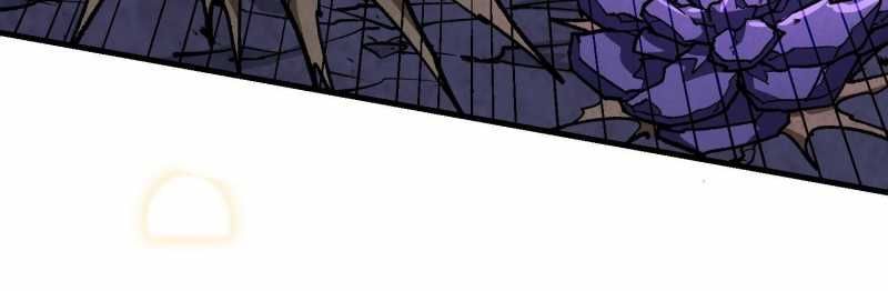 page_43