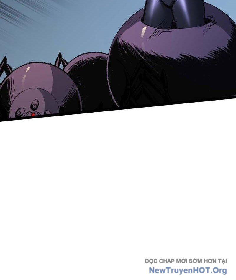 page_41