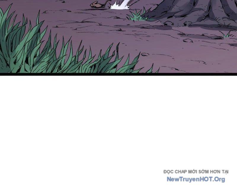 page_29
