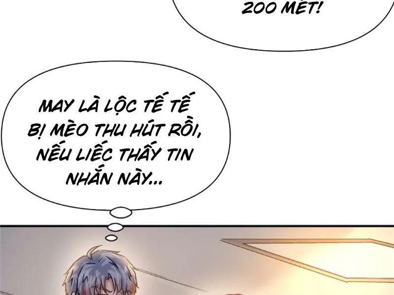 page_41