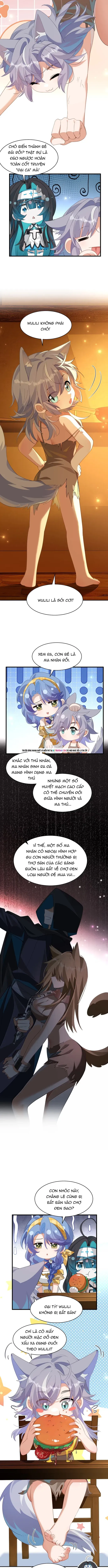 page_4