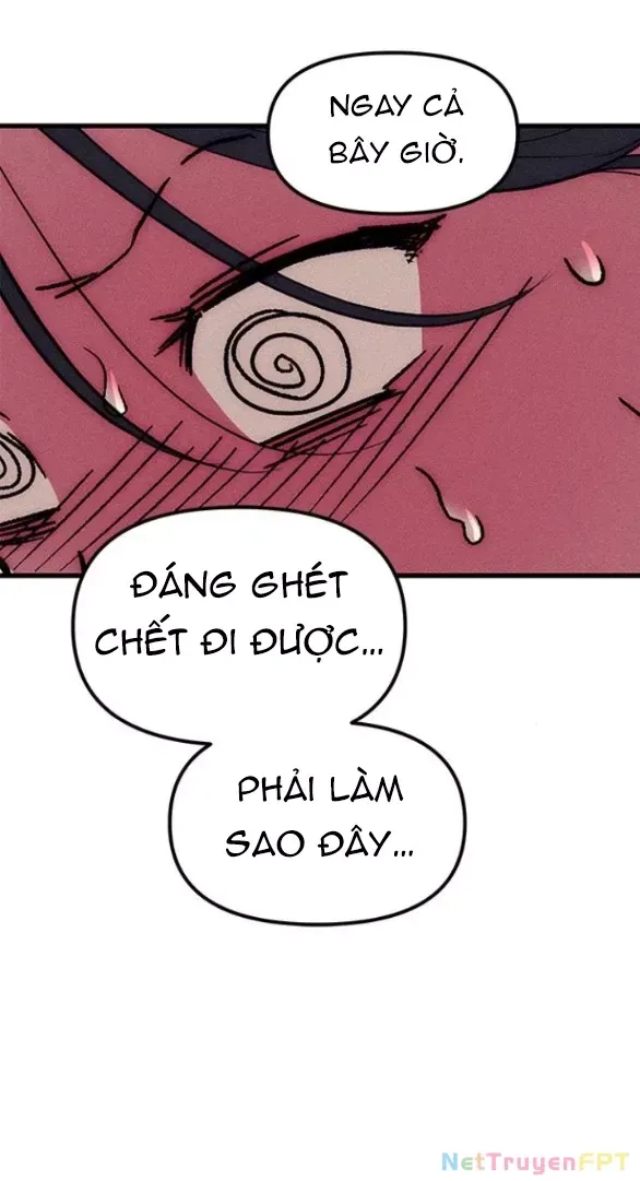 page_29