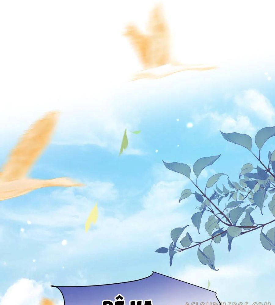 page_42