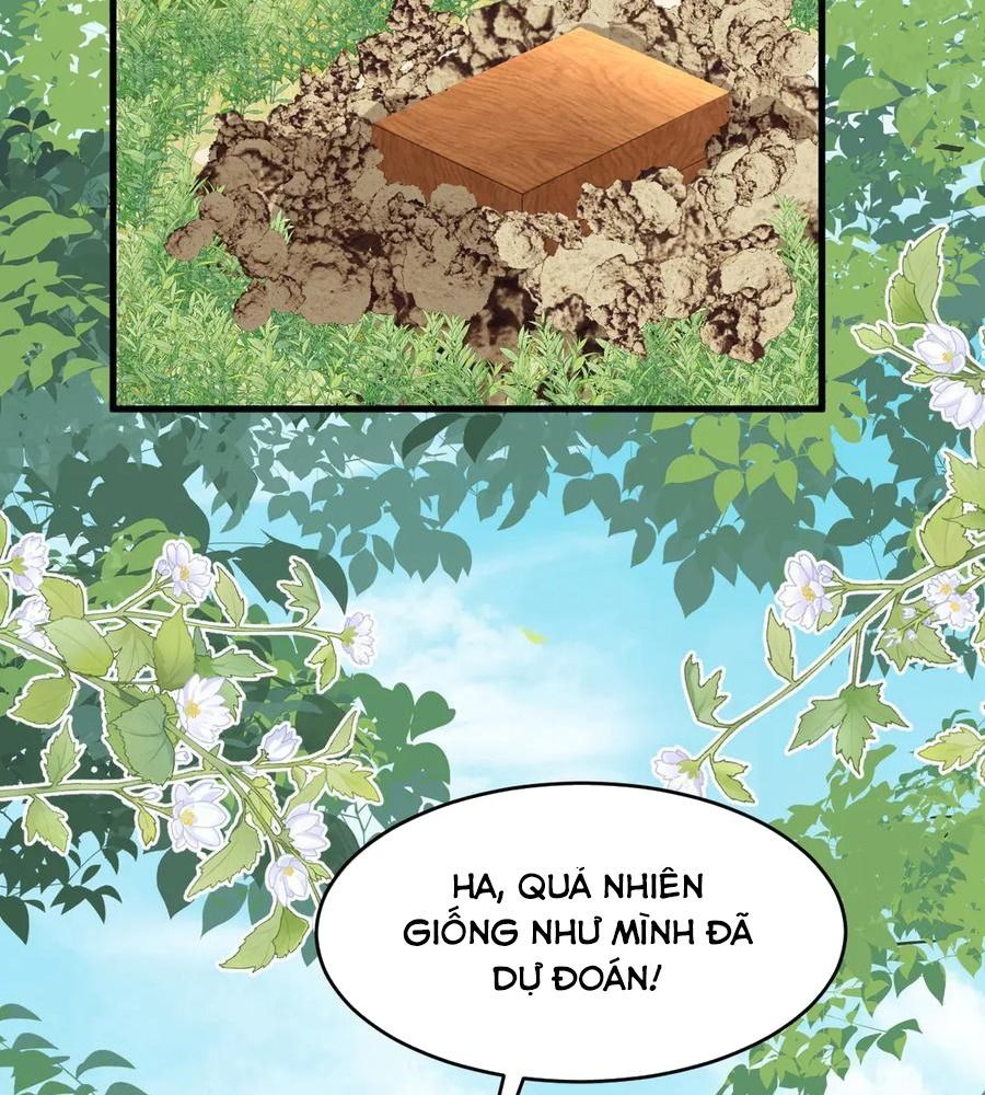 page_35