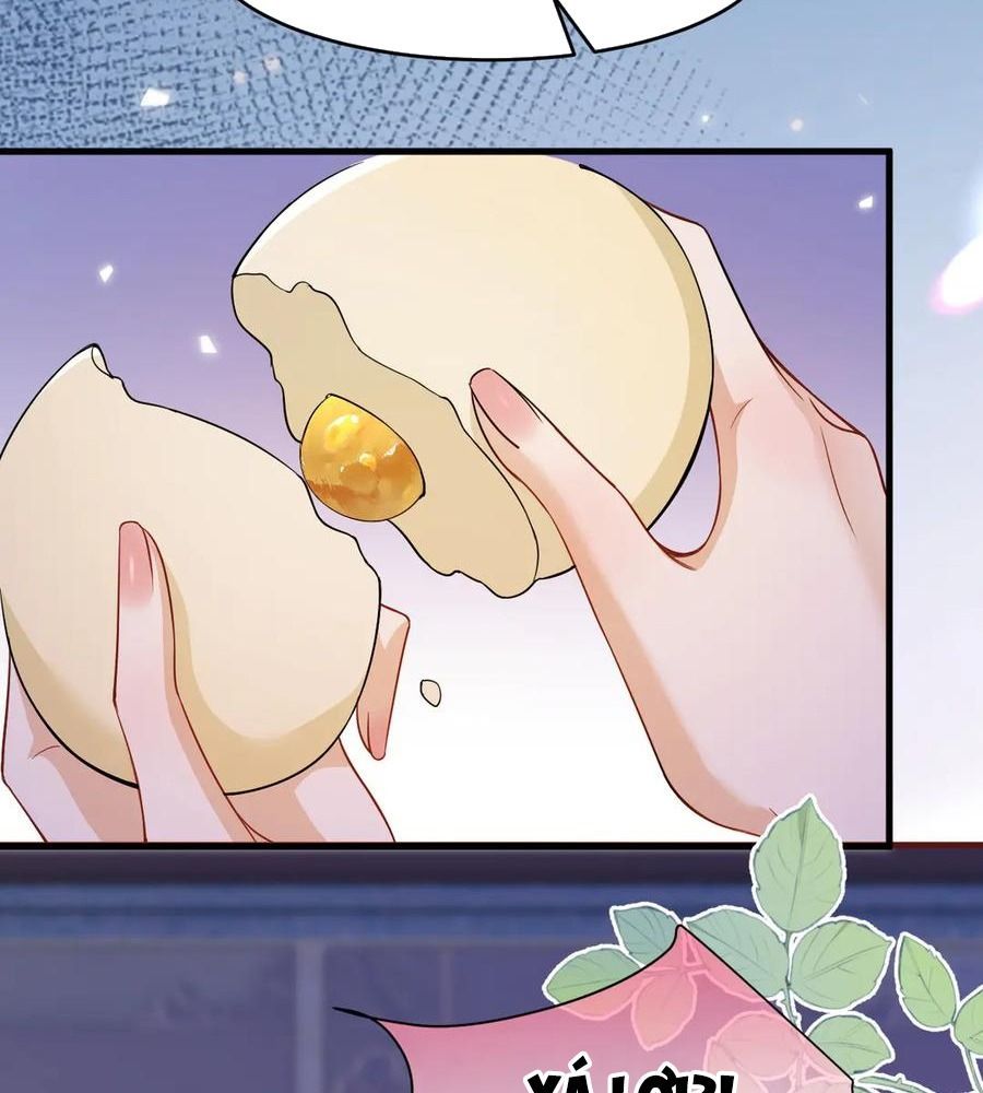page_66