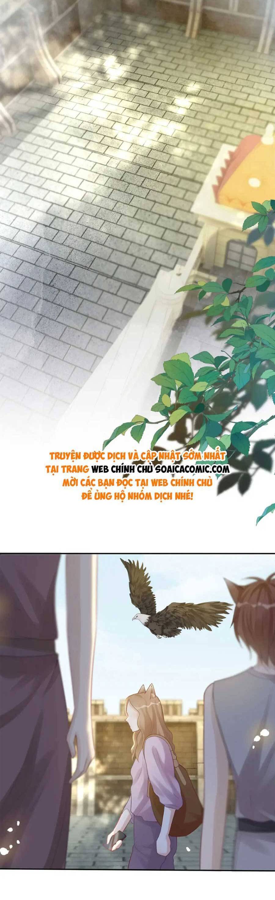 page_20