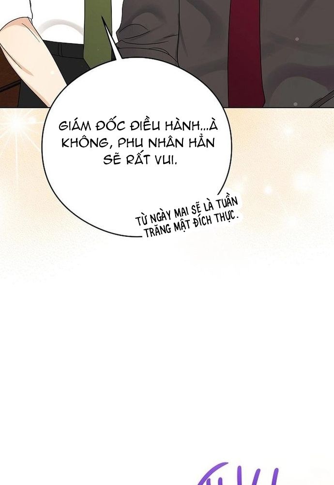 page_41