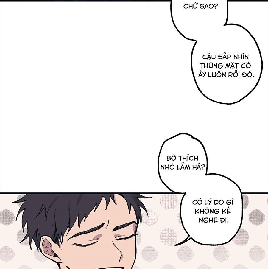 page_19