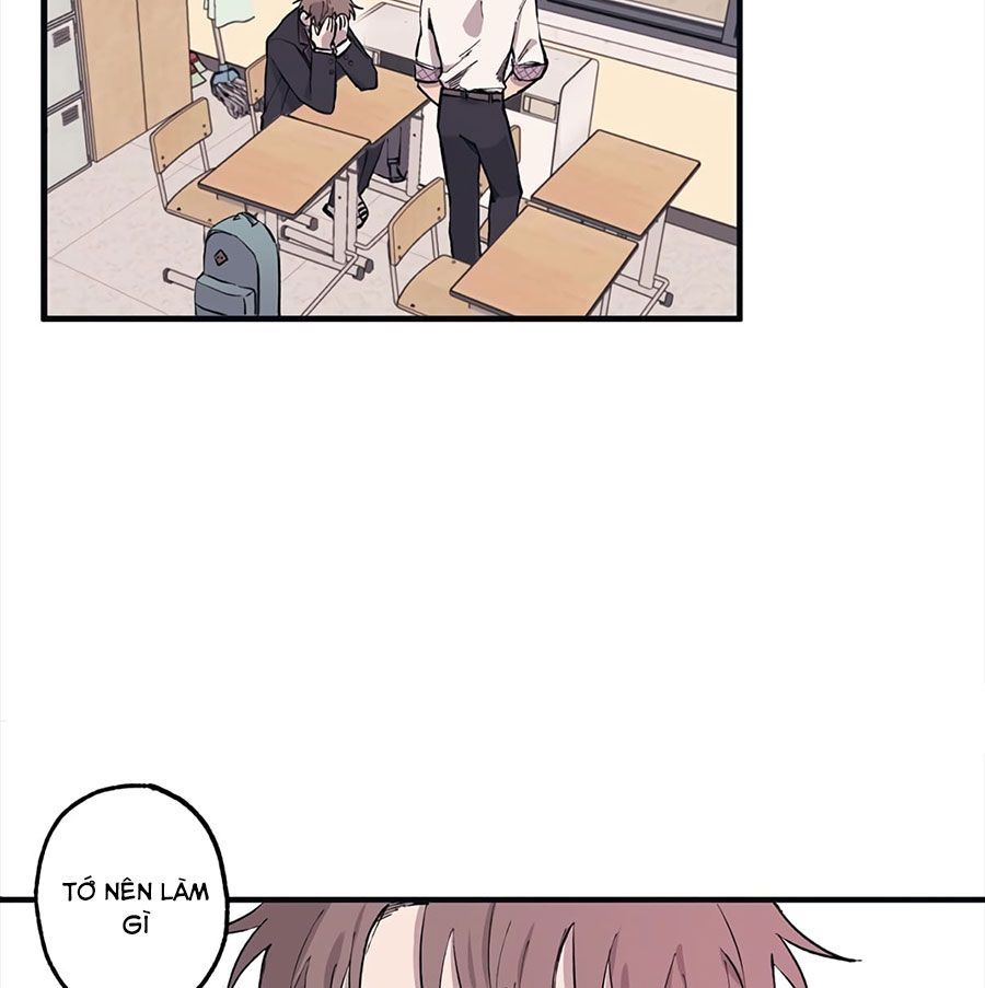 page_36