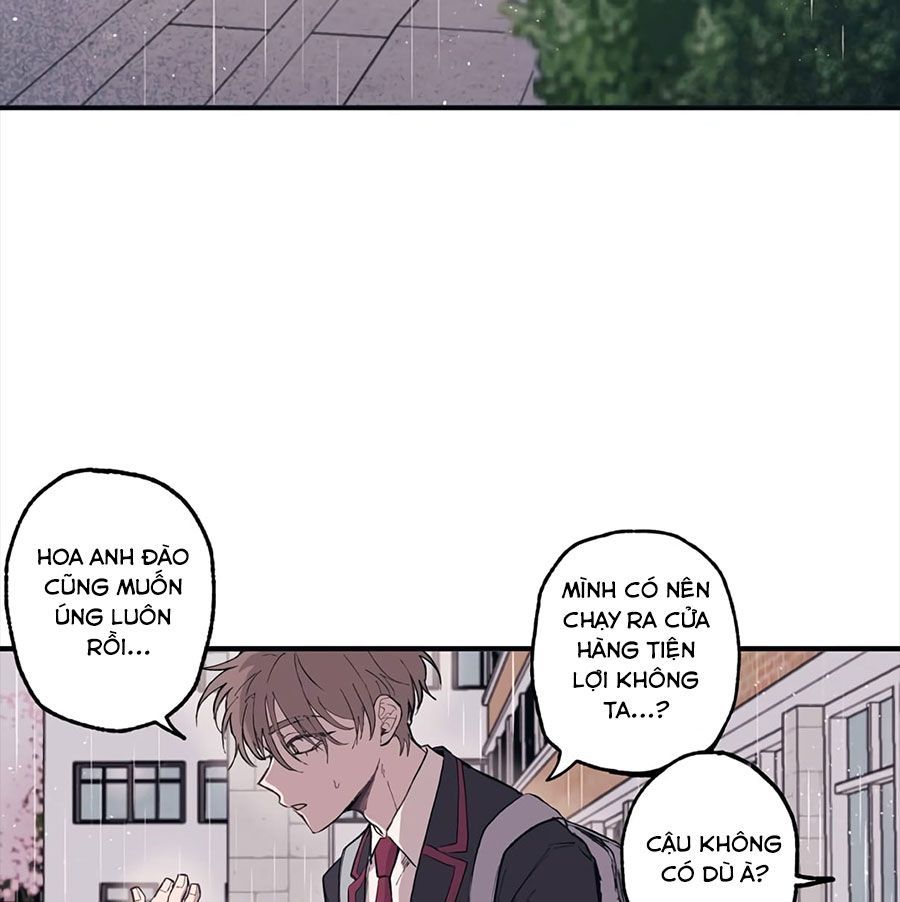 page_46
