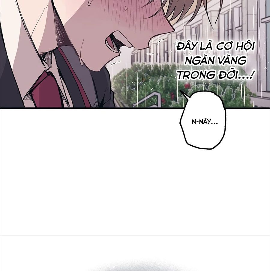 page_66