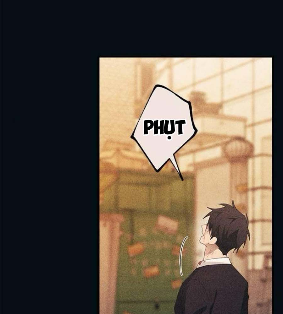 page_116