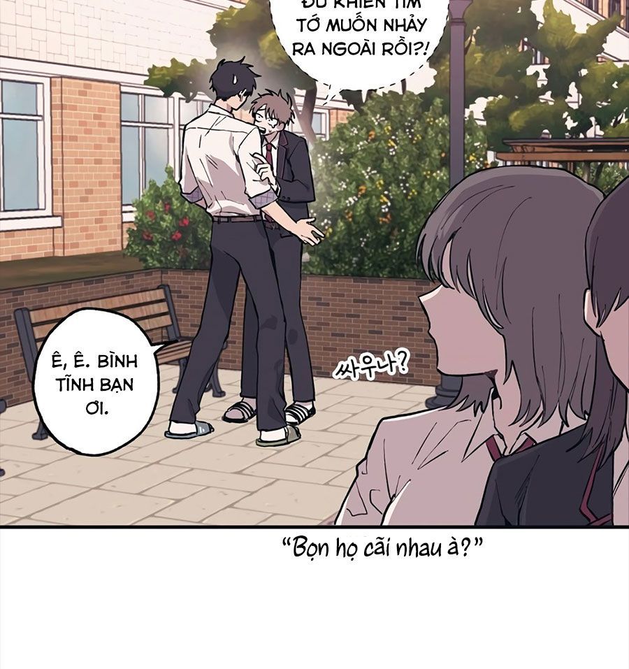 page_19