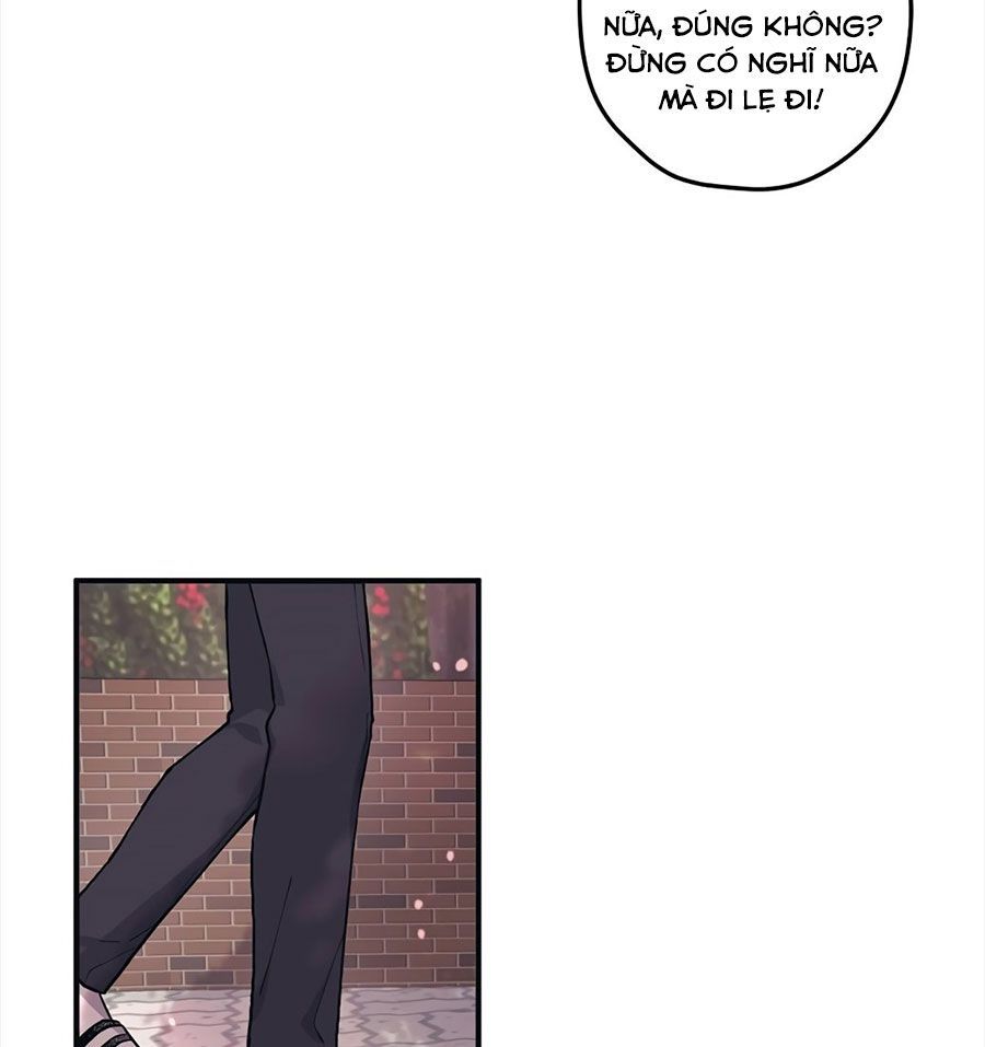 page_31
