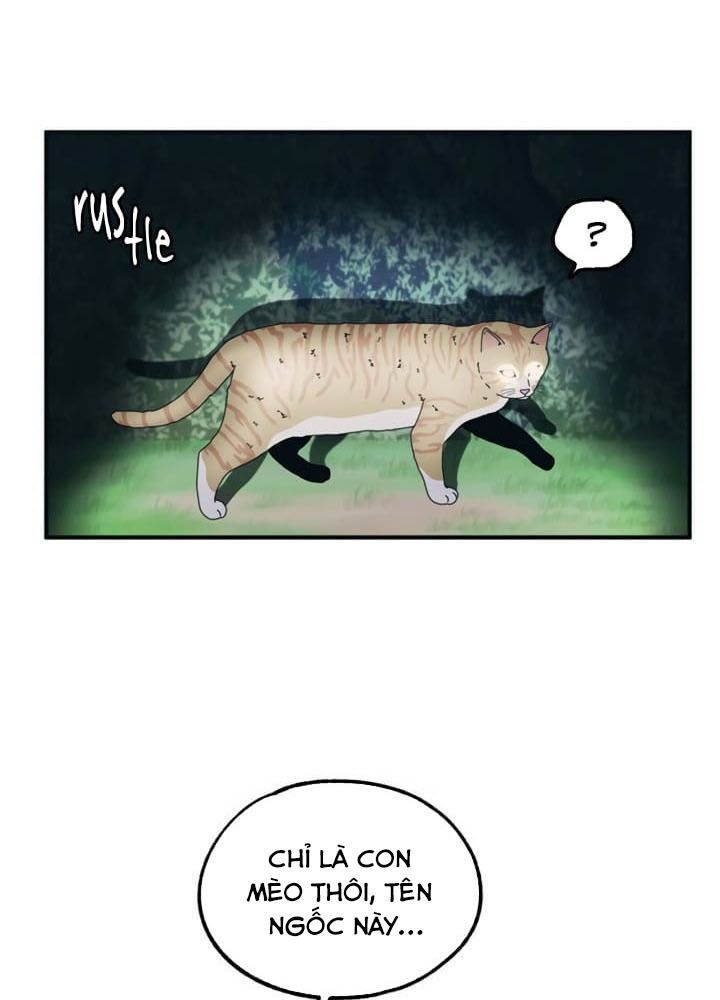 page_64