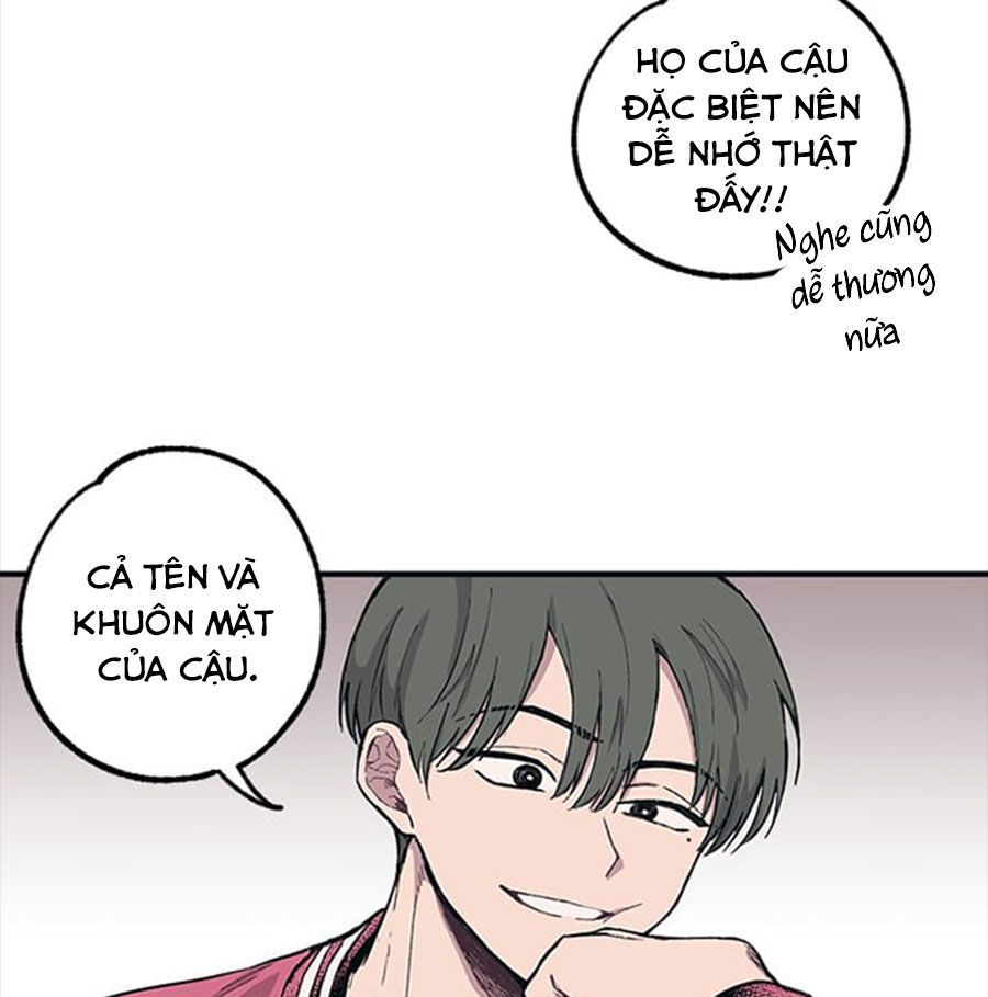 page_43