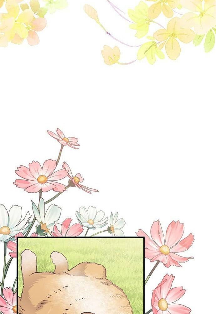 page_52