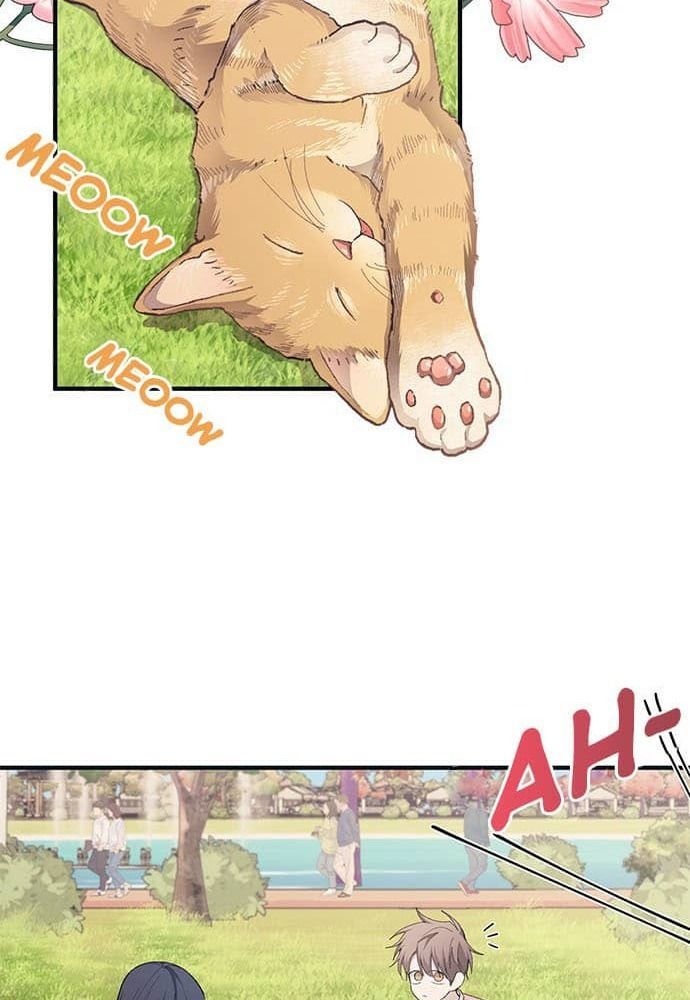 page_53